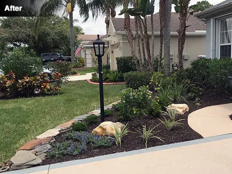The path edge after planting with crotons, ixora and carissa