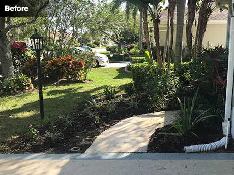 The path edge before work