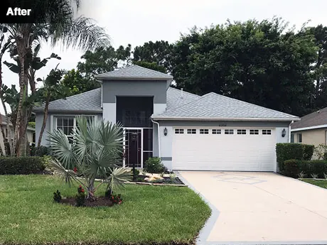 The front of the house after planting, with a Bismarck palm and boulders