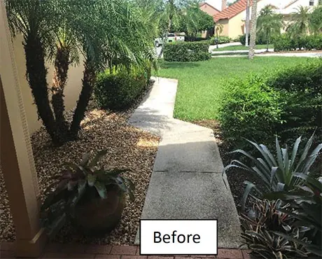 The front entry after replanting, with extended drainage and new color