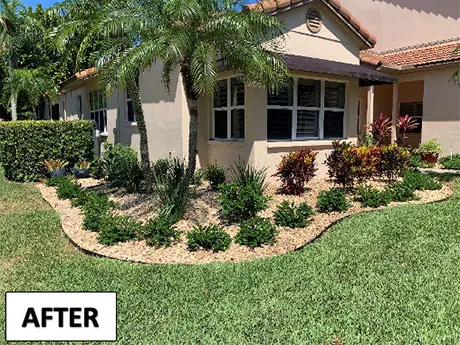 The lanai corner after replanting with new step pads and top-dressed rock