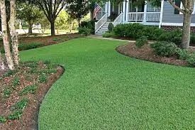 A healthy, closely mown Florida lawn in front of a house