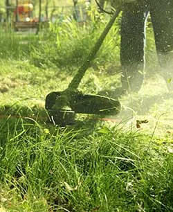 A line trimmer cutting through long grass