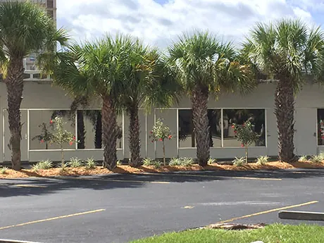The tidied frontage giving an attractive view from the classrooms and along the parking lot