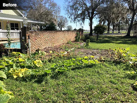 The area at the SMART farm before the Butterfly Garden was planted