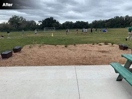 The finished outdoor learning space with new planting and Playsafe mulch