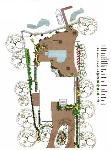 A colored landscape plan drawing showing the house, driveway, tree canopies and planted borders