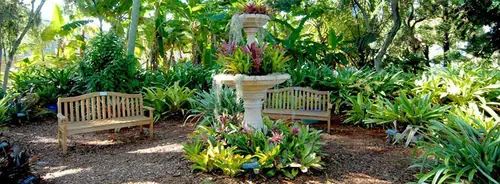 A tiered stone fountain surrounded by bromeliads, with teak benches under mature trees