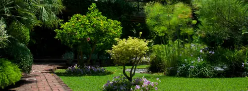 A garden planted with mixed shrubs and seasonal color