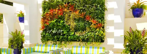 A vertical wall of bromeliads on a white pergola, with potted plants and cushioned seating below